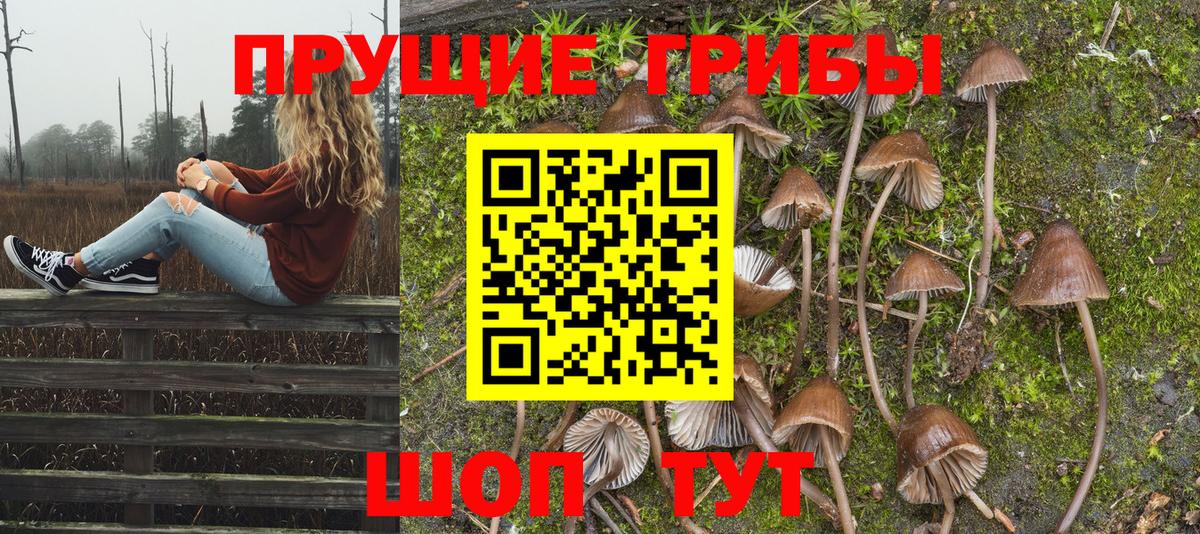 Вязники  Галлюциногенные грибы Psilocybe  Вход с VPN  Псилоцибиновые грибы GOLDEN TEACHER 